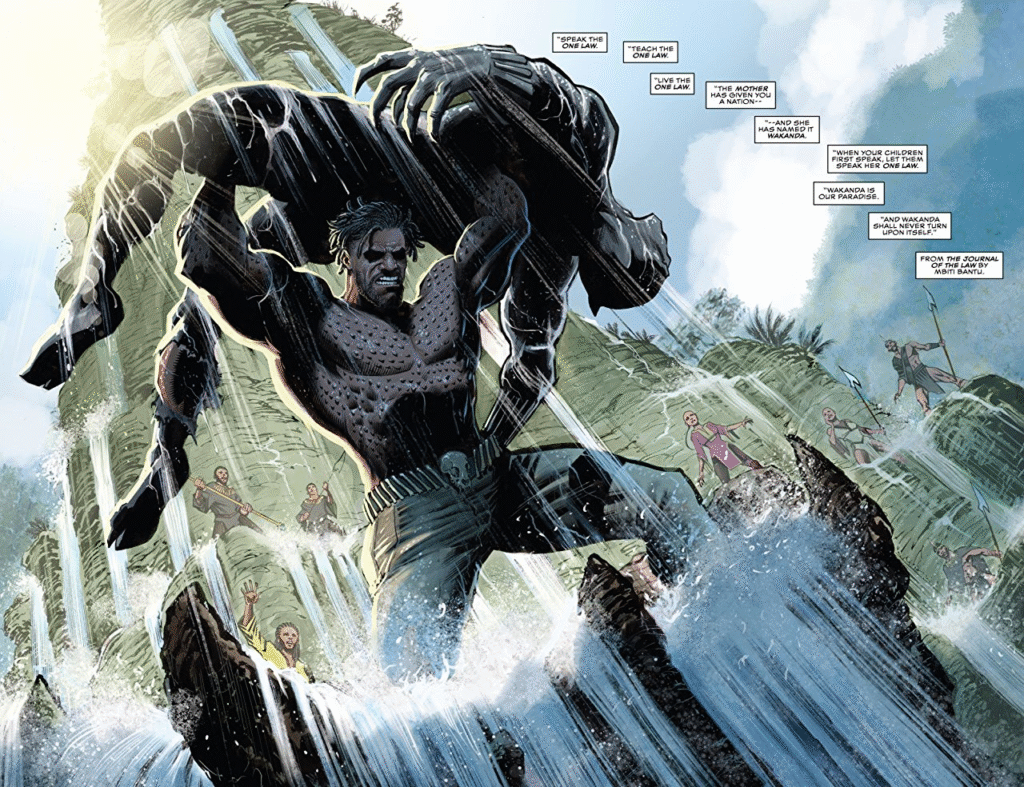 Black Panther vs Erik Killmonger