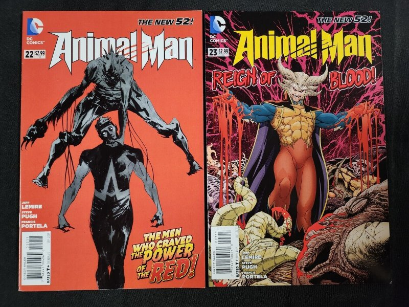 animal man reading order