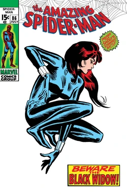 Black Widow classic 1970 costume